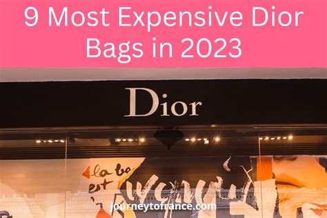 is dior expensive|most expensive dior bag.